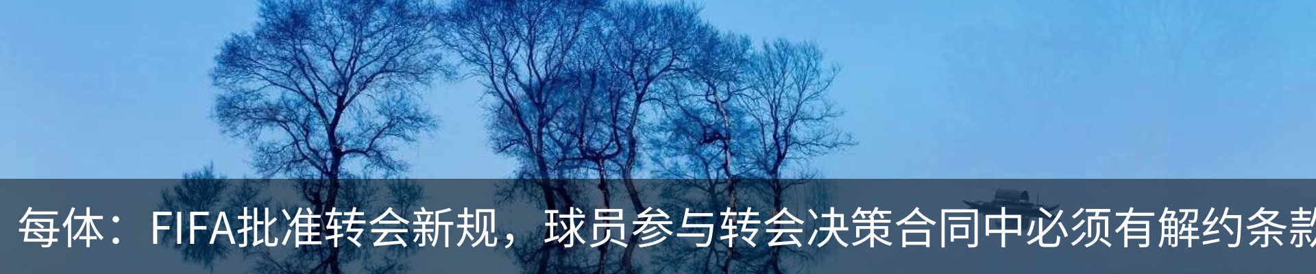 新闻中心